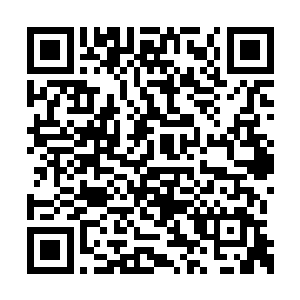 在祖宗们累死累活才能套个雌性的历史背景之下二维码生成