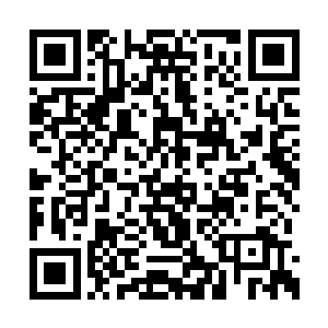 在神医府秋意瑟的帮助之下才变成了可以修炼的二维码生成