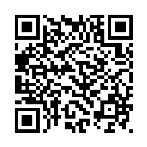 在秦岚离开飞机返回东通市这一天二维码生成