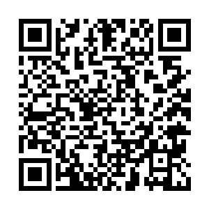 在穿越石底下的圣女和刘茜还在焦急万分的呐喊二维码生成