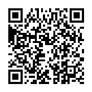 在笨拙却又显得理所当然的接受了众妖皇一一拜见之后二维码生成