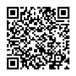 在第三圣徒大变的脸色之下轰然一口将第三圣徒吞了下去二维码生成