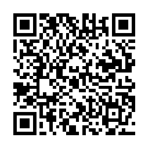 在等待楚子厚来接的过程中她一遍又一遍地端详着皇宫二维码生成