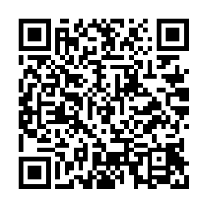 在纳甲土尸传音的指使下更是扭起屁股跳起舞来二维码生成