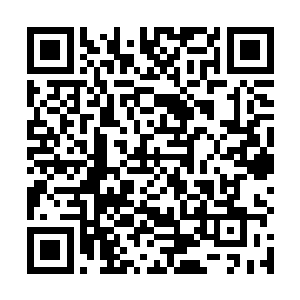 在绝大多数海洋古生物都比浮游生物大不了多少的时代二维码生成