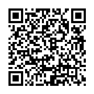 在绿水村他赵峰还没有接人敢在他面前如此无视二维码生成