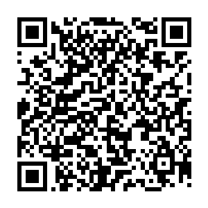 在脑子里面仔细回想了一遍这两天看过的滑翔机的操作书籍中的那些细节二维码生成