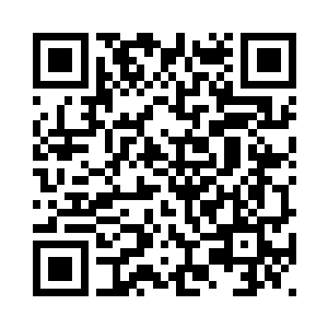 在脑海中和蜃楼珠内的白虎沟通着二维码生成