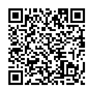 在自家的大幽灵处居然被刚到6不久的豹女给抓到了二维码生成