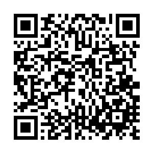 在苏城见到了颜晓夕后便带着肚子已经微微隆起的结发妻子二维码生成