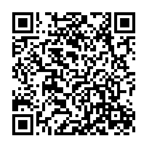 在落地后所做的第一件事……就是让那两位衍生者把自己送出沙盒二维码生成