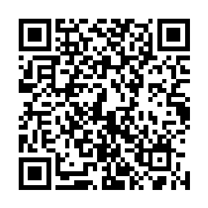 在蓝影江或者是东海的海底肯定隐藏着什么不为人知的秘密二维码生成