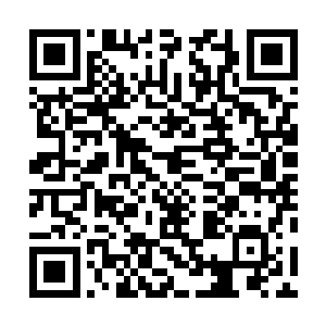 在补益方面的效果就差不多相当于是五百年以上的老人参二维码生成