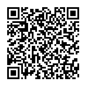 在袁不破的剑转动之下化为一圈圈的火焰漩涡如同蛟龙出水冲向柳宗山二维码生成