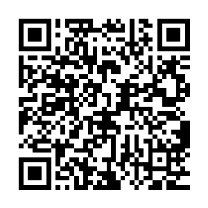 在被神鸟送出迷族以南与慕容玥等人相反方向的数千里外之后二维码生成