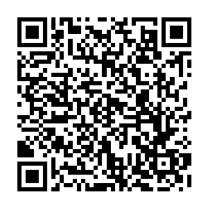 在裴子霄知道李伟这号人物事就让人去调查他的背景还有他和梁乐走到什么地步二维码生成