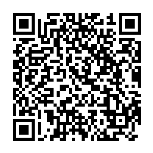 在见到宸王体内喷出来的鲜血已然变作了正常人该有的鲜红之色后二维码生成