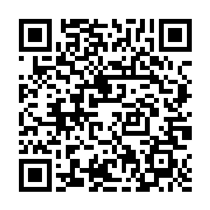 在见到萱若因为自己的一吼而骤然苍白的精致容颜之后二维码生成