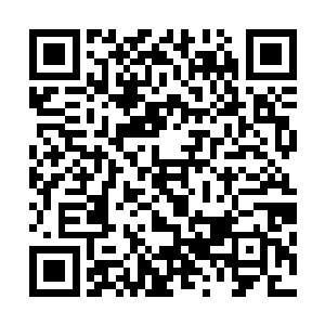 在见到被自己射击的那名活死人不过就是身体向后退去数米二维码生成