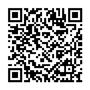 在见到队伍之中的最后一人进入了断崖山脉之后二维码生成