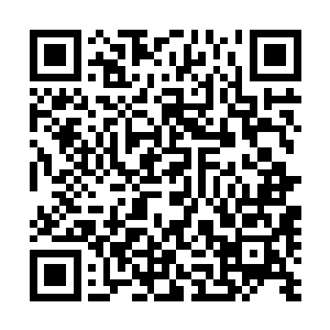 在觉醒兽灵真身的状态下居然被区区五环灵君给一刀砍伤了二维码生成