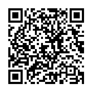 在走了一上午也没有再找到任何疑似食物的东西后二维码生成