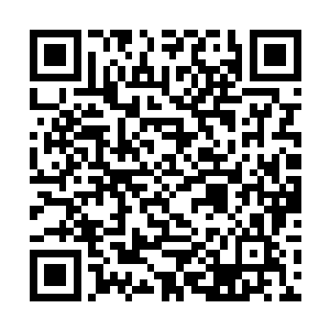 在赵祯看来想要图谋不轨就必须拥有图谋不轨的本钱二维码生成