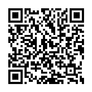 在路上遇到的孩子在看到田蜜之后都十分的开心二维码生成