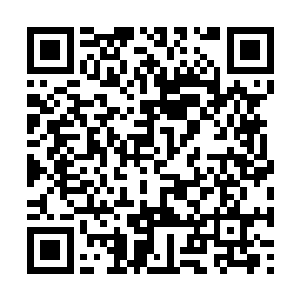 在路卡的两头依然还有警察在逐一检查出城的轿车二维码生成