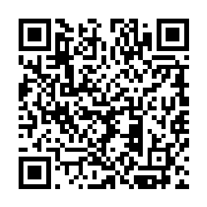 在身后一片不可思议的抽气声中伸手轻轻的摸到她的小脸上二维码生成
