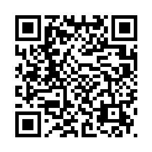 在车上的钱哥也是看到萧摇的动作二维码生成