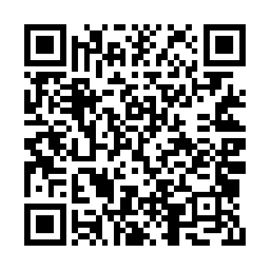 在轰隆隆的煽动翅膀的声响中显得那样静谧悠闲二维码生成