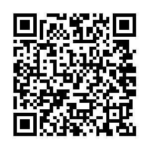 在这一个时刻都给予了贝海一个出色船长的待遇二维码生成