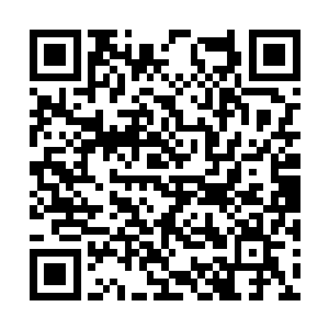 在这一点上面自己跟丈夫完全就是不同的两个类型二维码生成