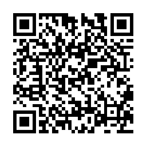 在这个人人都把注意力放在万明宗弟子考核的夜晚二维码生成