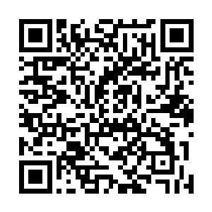 在这个境界能有这番悟性和修为的恐怕也只有杨晨一人了二维码生成