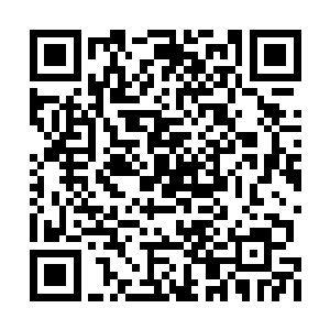 在这个房间里面也没有什么凌乱战斗之后的痕迹二维码生成