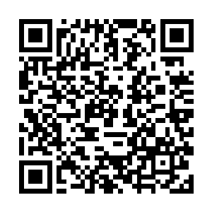 在这个时候全国上下超过百分之九十的媒体和影评人二维码生成