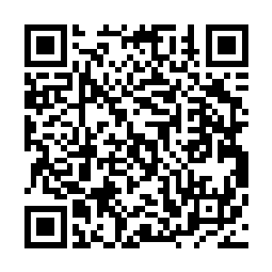 在这个时候发难……在吾王离开的时候否认您继承人的身份二维码生成