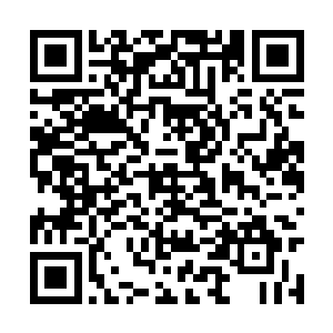 在这个时候如果许紫烟等人生出灭杀三族族长之心二维码生成