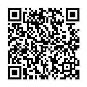 在这个时间点上出了破败+幽梦+暴击斗篷的老鼠的输出有多高二维码生成