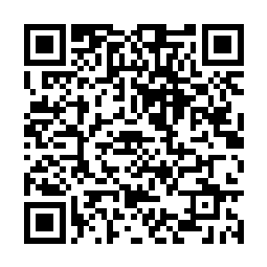 在这几天中迅速出了好几部关于大虫子中单的视频二维码生成