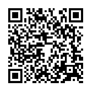 在这寂静得稀奇的地方竟然会遇到人着实让人惊讶二维码生成
