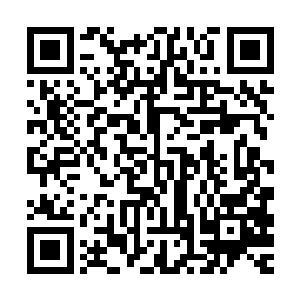 在这巨臂怪物的肉刺面前竟然脆弱得像是牛油刀面前的牛油一样二维码生成