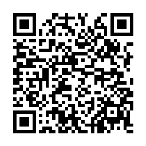 在这样的情况下龙傲天不得不先带神乐离开巢穴了二维码生成