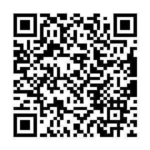 在这殿中上演出一场精彩的斗法斗力甚至于斗智大戏二维码生成