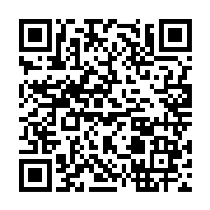 在这种就要治疗疾病的节骨眼上被人给打断在当场二维码生成