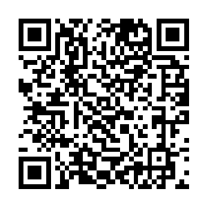 在这种时候还被诺曼帝国留在这里准备刀头舔血的人二维码生成