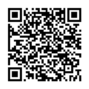 在这里几息就可以将热乎乎的鸭子冻得坚硬如铁二维码生成