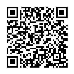 在这附近还有另外一个跟鬼谷那种人类似的家伙二维码生成